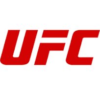 UFC SEALED BOXES AND PACKS