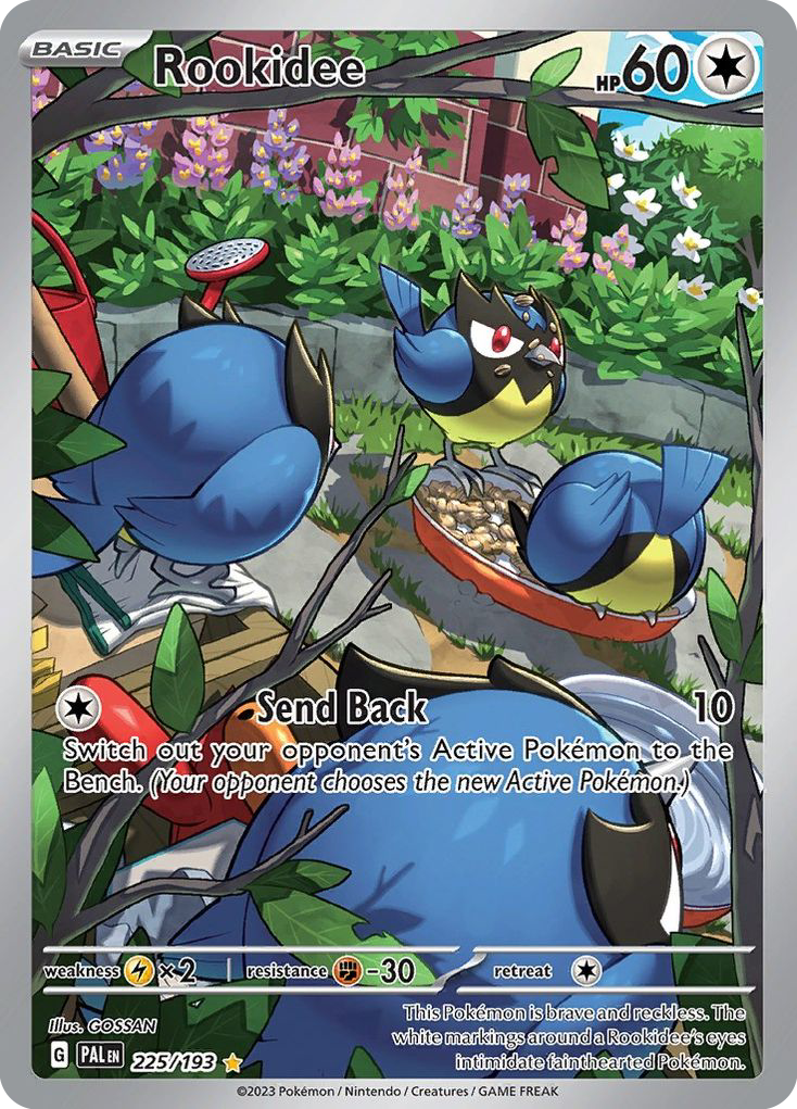 Rookidee 225/193 Illustration Rare Paldea Evolved Pokemon Holo Near Mint