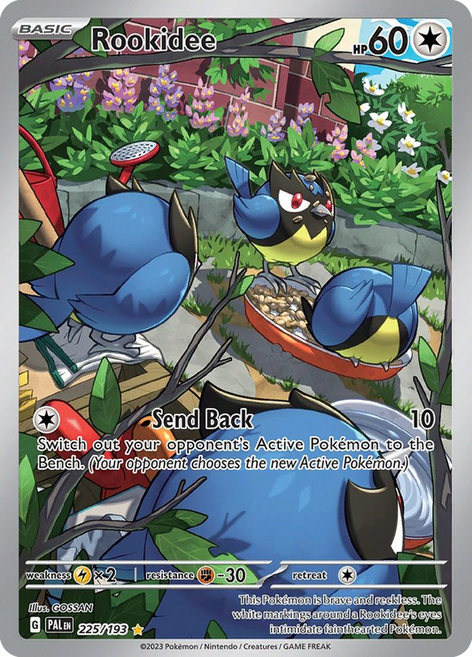 Rookidee 225/193 Illustration Rare Paldea Evolved Pokemon Holo Near Mint