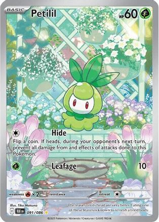 Petilil 091/086 Holo Illustration Rare Black Bolt Pokemon Near Mint