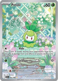 Petilil 091/086 Holo Illustration Rare Black Bolt Pokemon Near Mint