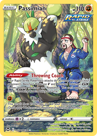 Passimian TG08/TG30 Holo Silver Tempest Trainer Gallery Pokemon NM