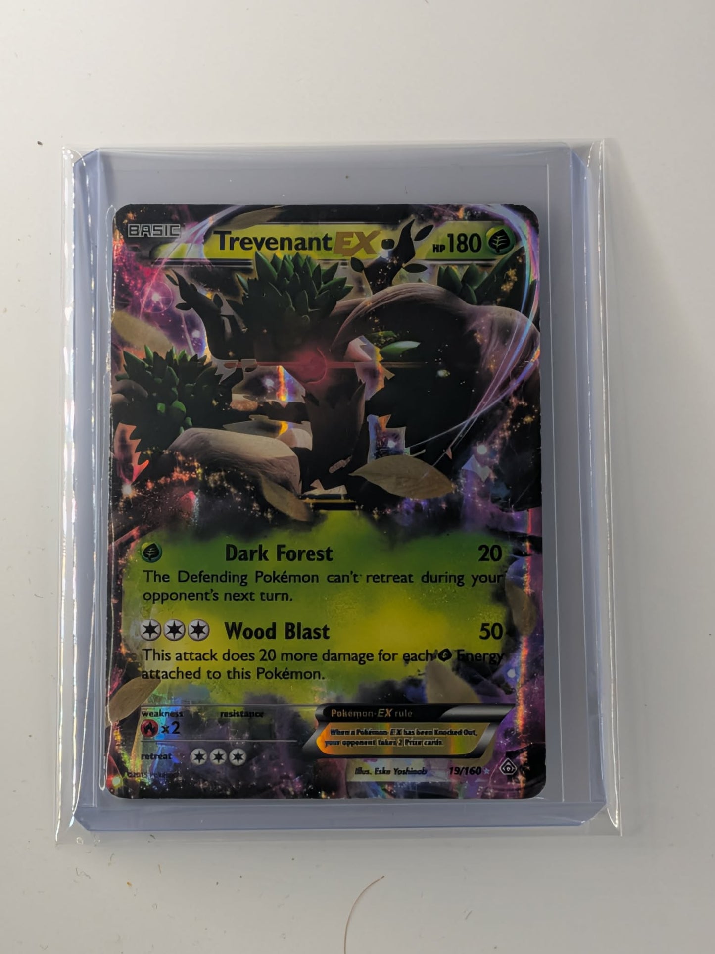 Trevenant EX 19/160 Holo Rare EX Primal Clash Pokemon Heavily Played damaged