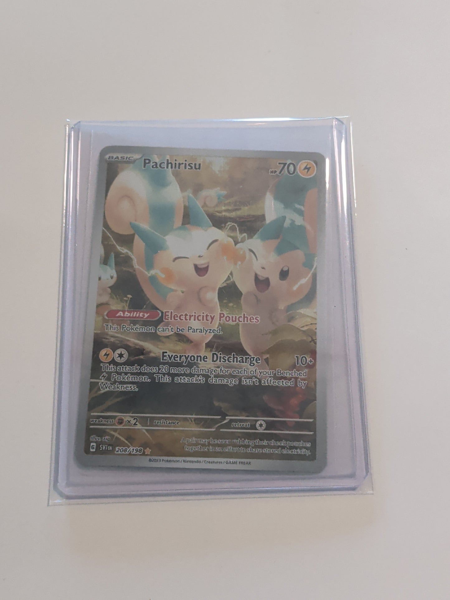 Pachirisu - 208/198 Illustration Rare Scarlet & Violet Pokemon Card NM